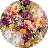 Komar Fototapete "Vlies selbstklebend - Frescas - Größe 125 x 125 cm" bedruckt glatt Wohnzimmer, Schlafzimmer