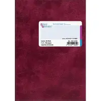 Baier & Schneider Geschäftsbuch