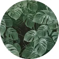 Komar Vliestapete "Vlies selbstklebend - Novel Monstera - Größe 125 x 125 cm" bedruckt glatt Wohnzimmer, Schlafzimmer