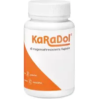 Volopharm GmbH Deutschland Karadol Magensaftresistente Kapseln 60 St