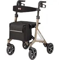 Bischoff & Bischoff Bischoff & Alevo Country Rollator, Gehwagen mit Profil-Bereifung 1 St