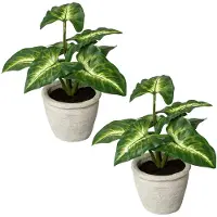 Creativ Green Künstliche Zimmerpflanze "Blattpflanze Syngonium" im Zementtopf, 2er Set