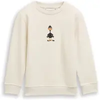 Tom Tailor Sweater, mit Dino-Print
