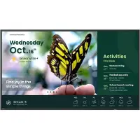 BenQ 165.1cm (65") ST6504 Android 14 UHD 2xHDMI 350nits (Speditionsversand)