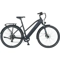Prophete "Entdecker 2.8" 8 Gang Shimano Altus Schaltwerk Kettenschaltung Heckmotor 250 W Pedelec, Elektrofahrrad für Damen