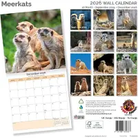 Dayplanner Erdmännchen-Kalender 2027