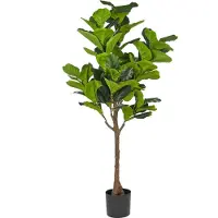 Beliani Fig Tree