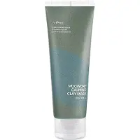 Isntree Beruhigende Tonerdemaske Mit Beifuß 100ml