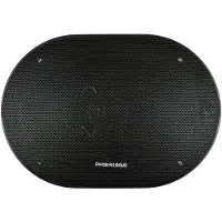 Phoenix Games 6'x9' ZX69CXS 2-Wege-Koaxiallautsprecher 80 WRMS