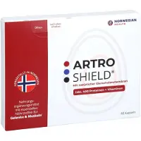 L&L Artro Shield 60 St