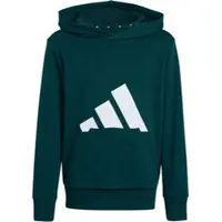 Adidas Kapuzensweatshirt "ESSENTIALS KIDS HOODIE"