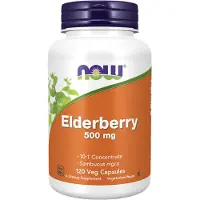 Now Holunder 500 mg 120 St