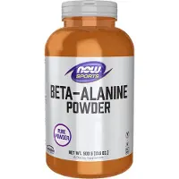 Now Beta-Alanin 500 g GR