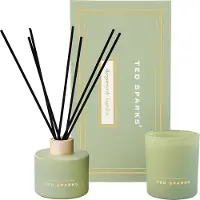 Ted Sparks Geschenkset Bergamot & Angelica (Set von 2)