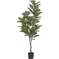Beliani Ficus Elastica