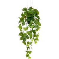 Creativ Green Kunstpflanze "Hängender Philodendron hederaceum" mit üppigen Ranken