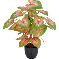 Creativ Green Kunstpflanze "Caladium" mit außergewöhnlicher Blattzeichnung