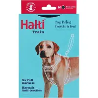 Company of animals Halti No Pull Hundegeschirr