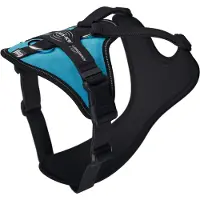 JULIUS K-9 Longwalk Light Hundegeschirr