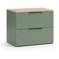 Vicco Kommode Wido Grün 60 x 50 cm mit 2 Schubladen, Model 56607