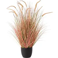 Beliani Bristlegrass