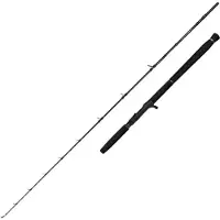 Savage Gear Defiance Sg2 Cast Jiggingrute
