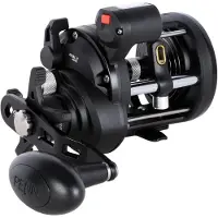 Penn Rival Ii Level Wind Lc 20l Jigging-rolle