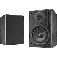 Dual Aktiv-Lautsprecher LS 100