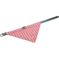 Beeztees Bz Lederhalsband+Tuch Schwarz