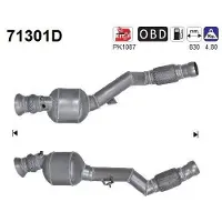 As Katalysator 71301D
