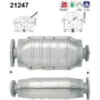 As Katalysator 21247