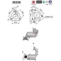 As Katalysator 30228