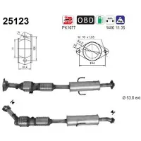 As Katalysator 25123