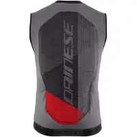 Dainese Rückenprotektor Flexagon Waistcoat 2 Herren Stretch Limo/Castle Rock-XS