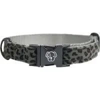 Kentucky Leopard Hundehalsband