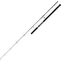 Penn Battalion Solid Offshore Spinnrute