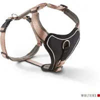 Wolters Professional Comfort champagner Geschirr 90 - 110 Centimeter x 35 Millimeter