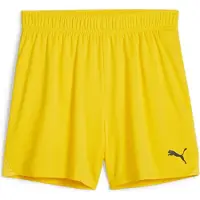 Puma teamGOAL Handball Shorts W
