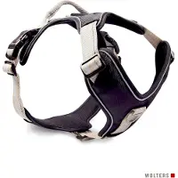 Wolters Active Pro Geschirr 30 mm champagner 40 - 47 cm