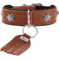 Hunter Halsband München für Hunde 55