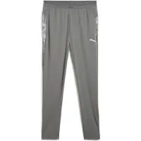 Puma teamCUP Trainingshose Grau F13 || Größe 2XL