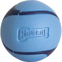 Chuckit! Sniff Fetch Bal Bacon Geur Blauw