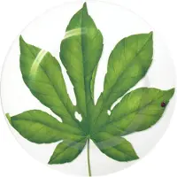 Taitù Freedom Teller flach Blatt B