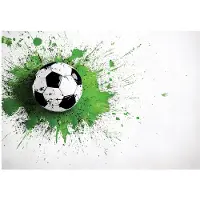 WALLARENA FOTOTAPETE Kinderzimmer Junge Fußball 350x250