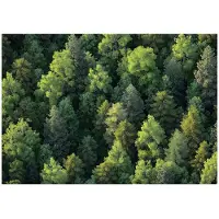 WALLARENA FOTOTAPETE Wald Bäume Natur Vlies Tapete Wohnzimmer 400x280