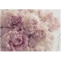 WALLARENA FOTOTAPETE Blumen Schlafzimmer 150x105