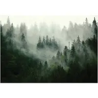 WALLARENA FOTOTAPETE Wald Nebel Natur Vlies Tapete Wohnzimmer 200x140