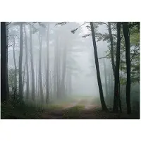 WALLARENA FOTOTAPETE Wald Natur Vlies Tapete Wohnzimmer Schlafzimmer 250x175