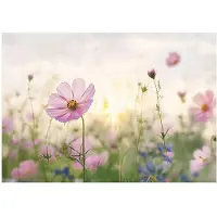 WALLARENA FOTOTAPETE Blumenwiese Vlies Tapete Wohnzimmer 300x210
