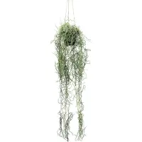 Creativ Green Kunstpflanze "Tillandsia-Hängepflanze" mit filigranem Blattwerk